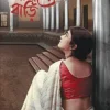 Nipader Bari
