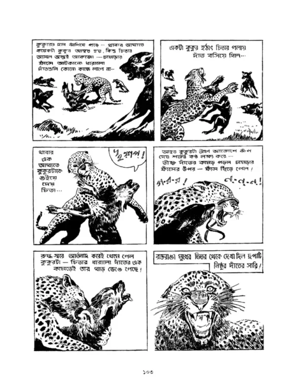 Comics O Graphics 5 By Mayukh Chowdhury Illustration 5