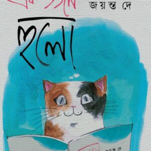 Ek Dozen Hulo || Jayanta Dey || এক ডজন হুলো