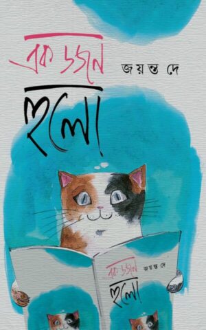 Ek Dozen Hulo || Jayanta Dey || এক ডজন হুলো