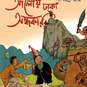 Aaloy Dhaka Andhakar || Niladri Roy