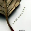 Shukno Patar Basonto || Rajaditya Bondyopadhyay
