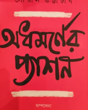 Adhamarner Passion || Sourin Bhattacharya